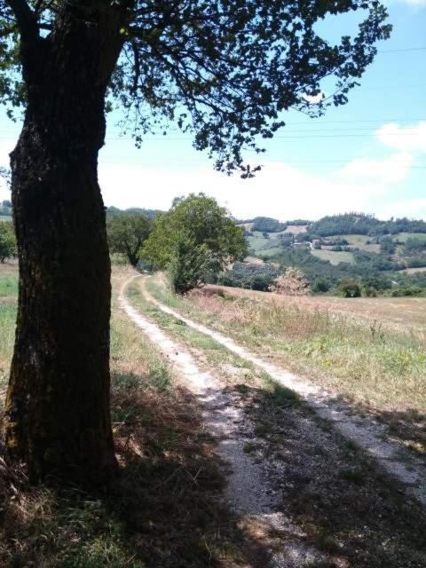 Casa Vacanze Campo D'Arco Nocera Umbra Exterior foto